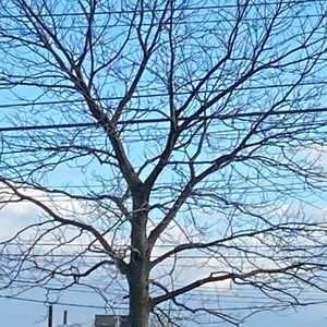 Meet your Posher, Bella